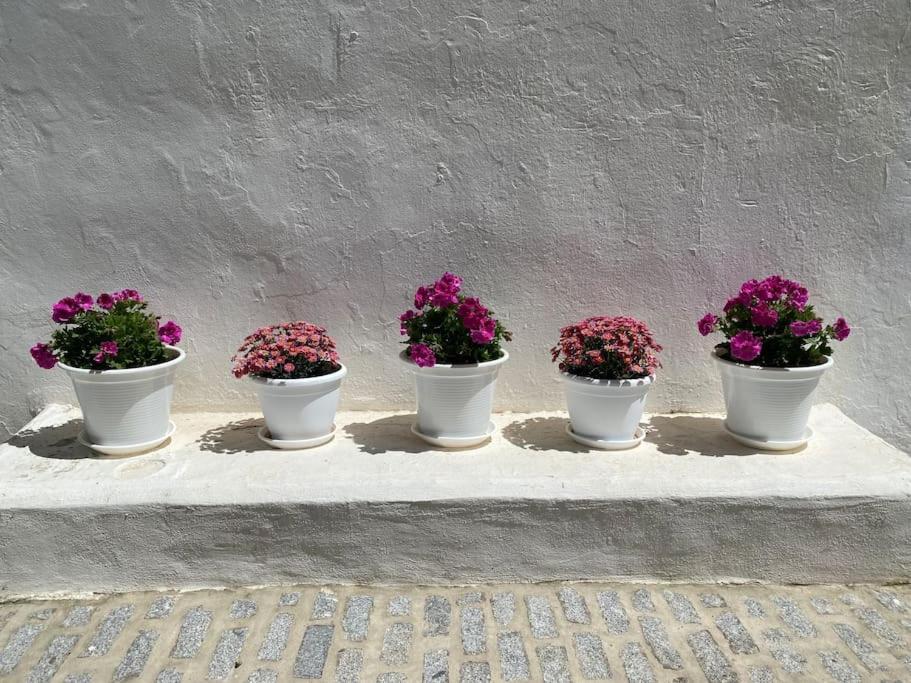 Casa Galeria La Retinta Villa Vejer de la Frontera Eksteriør billede