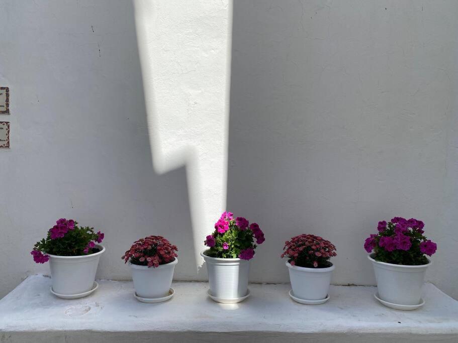 Casa Galeria La Retinta Villa Vejer de la Frontera Eksteriør billede